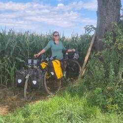 Auf der Suche nach Schatten