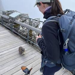 Immerhin warten schon ein paar Spielgefährten auf uns