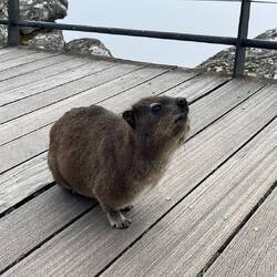 "Worauf wartest du denn?"