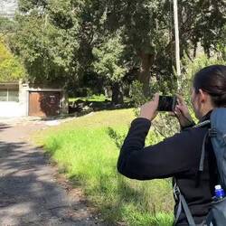 Der Aufstieg auf den Tafelberg