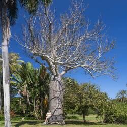 Darwin Botanic Gardens