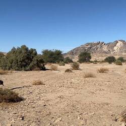 Schritt 2: Das Beweisfoto!