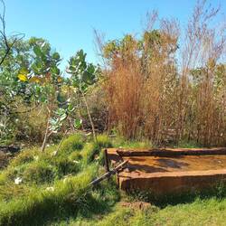 Bore water at near Prison Tree