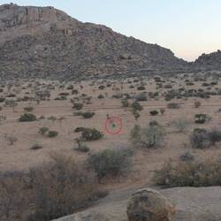 Ein wildes Andi hat den Ort mit dem besten Internetempfang gefunden