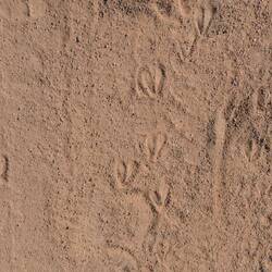 Wer hat hier herzförmige Spuren hinterlassen?