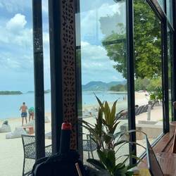 Sabroso Espresso Bar x Orca Club