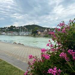 Nice marina across from the family park and restaurants