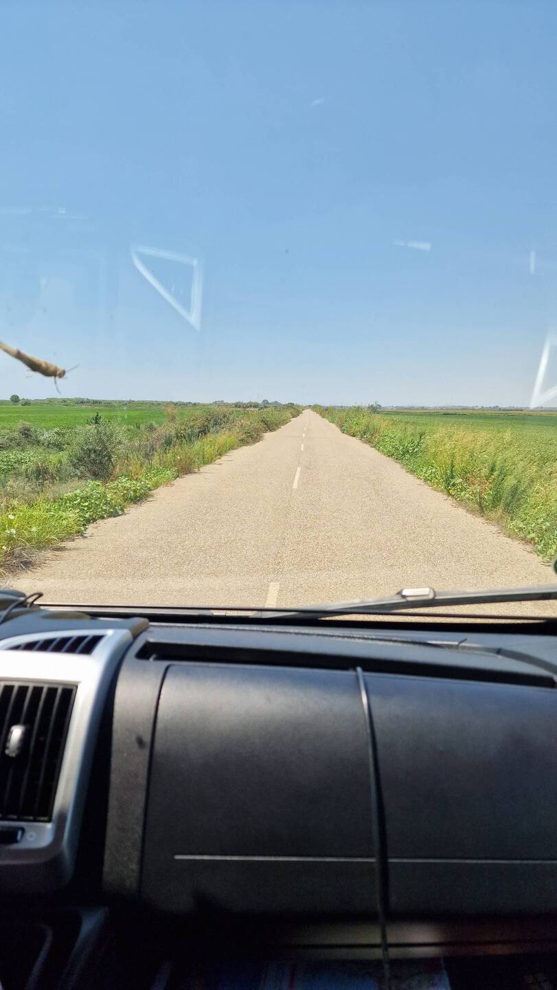 Blinder Passagier🤭