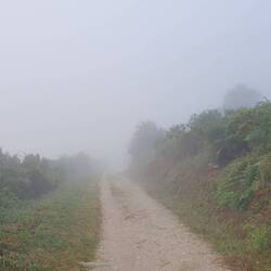 Toujours dans la brume...