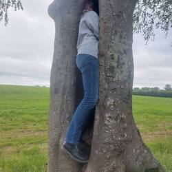 Johanna verschwindet im Baum