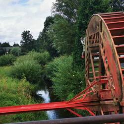 Der aufgestellte Koch sah gruselig und wenig einladend aus😳Aber das Essen war top.