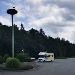 Die Neda steht derweil unter einem Storchennest mit 2 Jungen🙏👌