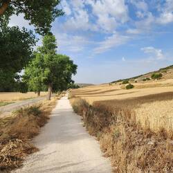 Beautiful path and view