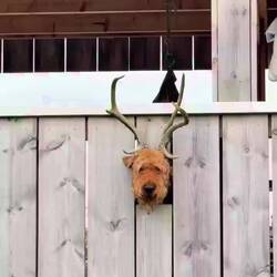 Das brauchen wir für Ari 😂