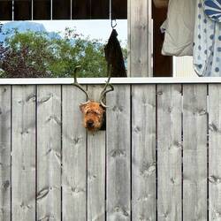 Diesen Humor lieben wir 😂 wie wär's damit für Ari? 😅