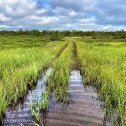Hier blieb mir nichts anderes übrig als meine Schuhe auszuziehen.