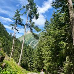 ..als uns auf dem Heimweg zu machen.