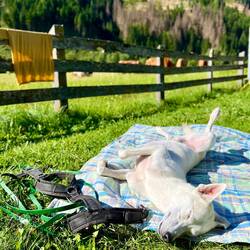..Feierabend voll Genuss und Entspannung nichts mehr im Weg steht 🥟