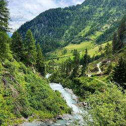 ..gehen den selben Weg wieder retour.