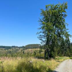 Da begebe ich mich doch lieber..