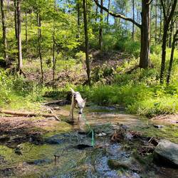 ..von Johnny im kleinen Stil genossen wird.