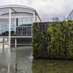 The wall is also a water feature - didn't know that until today!