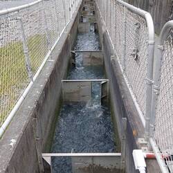 29 stufige Fischleiter