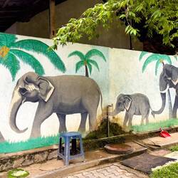 Millennium Elephant Foundation — Kegalle District, Sri Lanka.