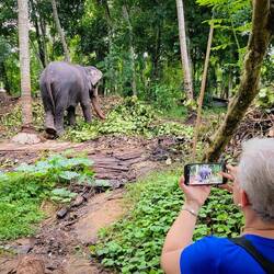 Millennium Elephant Foundation — Kegalle District, Sri Lanka.