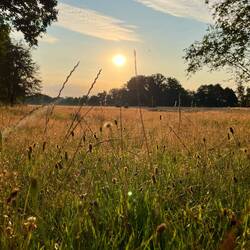 Die Sonne steigt stetig empor und..