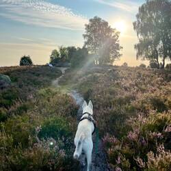 ..benötigt allerdings noch wenige Wochen für die volle Pracht.