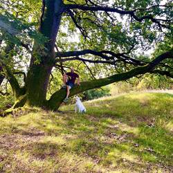 ..alten Eichen, Buchen, Linden, Birken und Kiefern 🌳