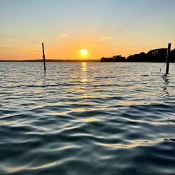 ..zum Schwimmen ein 🐟