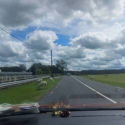 Eine normale Straße