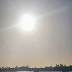 Immer der Sonne entgegen 😄
