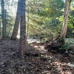 Mein Creek-Camp in Swan Lake