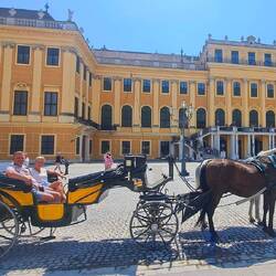 Eine Fiakerfahrt durch den Schlossgarten