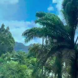 Auf dem Weg nach Khao Sok