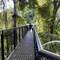 Mt Tambourine Skywalk