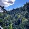 Mt Tambourine Skywalk