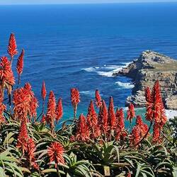 Kap der guten Hoffnung