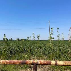 Gasleitungen und Landwirtschaft prägen das Bild