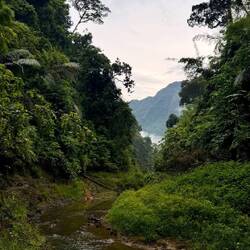 Khao Sok Nationalpark