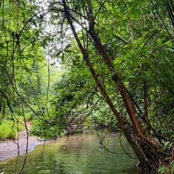 Khao Sok Nationalpark