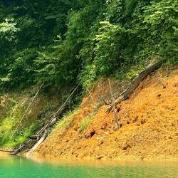 Affen im Khao Sok Nationalpark