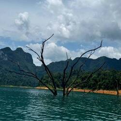 Khao Sok Nationalpark