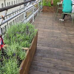 Our deck