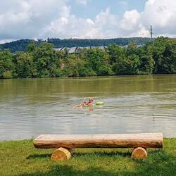So geht Rheinschwimmen 🛟🏊‍♀️