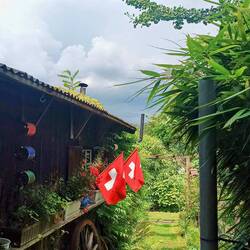 Immer und überall anzutreffen: schweizer Nationalstolz 🇨🇭