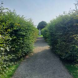 Gärten von dem Irish Museum of Modern Art